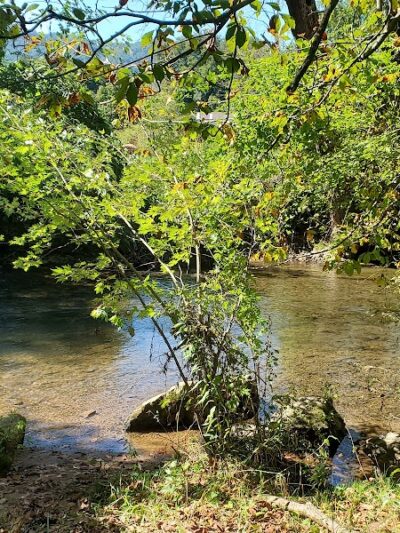 Waynesville Dog Park - Waynesville, NC