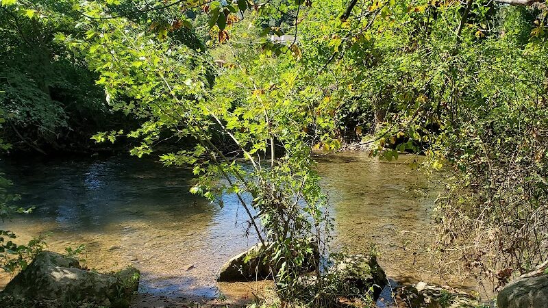 Waynesville Dog Park - Waynesville, NC