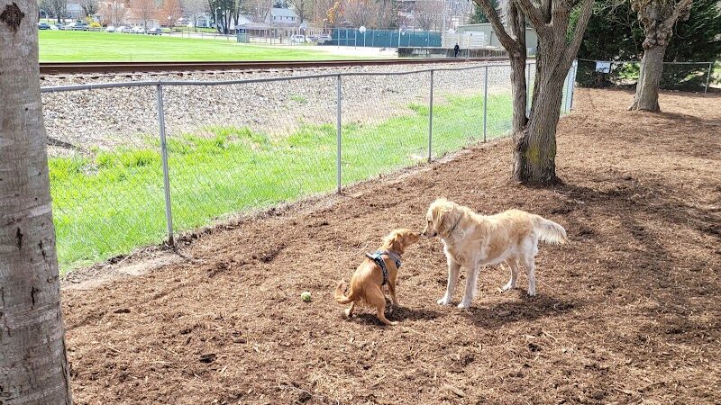 Waynesville Dog Park - Waynesville, NC