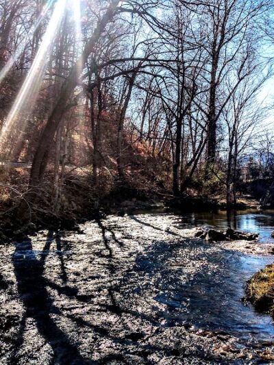 Waynesville Dog Park - Waynesville, NC