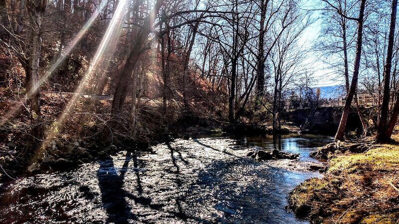 Waynesville Dog Park - Waynesville, NC