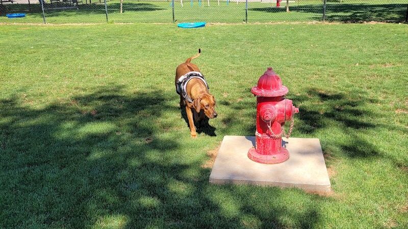 Bulldogs & friends - Weatherford, OK