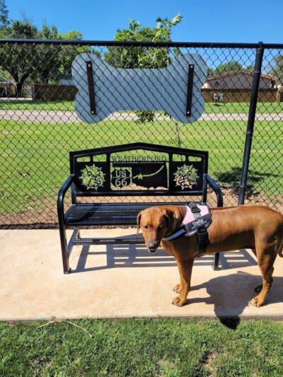 Bulldogs & friends - Weatherford, OK