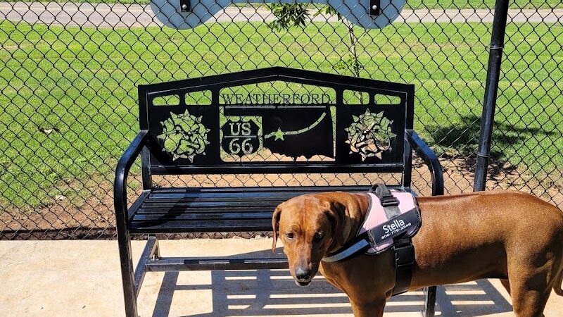 Bulldogs & friends - Weatherford, OK