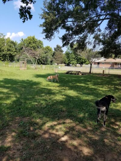 Elwell Park (Weaver City Park) - Weaver, AL