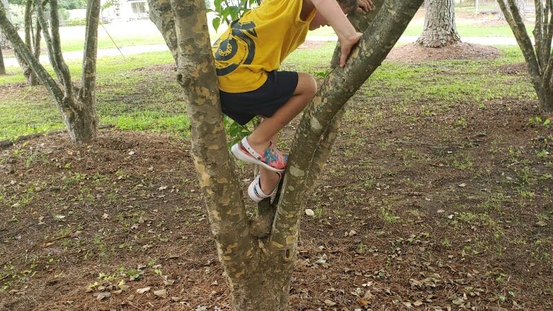 Elwell Park (Weaver City Park) - Weaver, AL