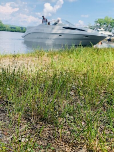 Webster Dog Park - Webster, MA