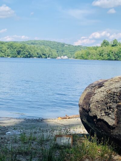 Webster Dog Park - Webster, MA