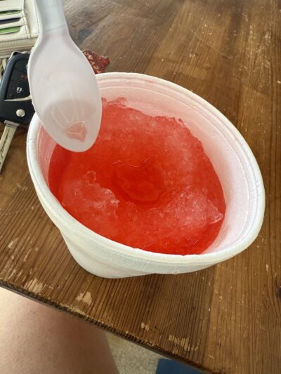 Porch Dogs - Wedowee, AL