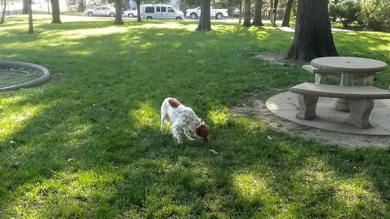 Stewart Dog Park - Wellington, KS