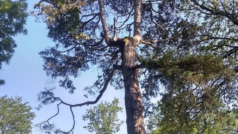 Stewart Dog Park - Wellington, KS