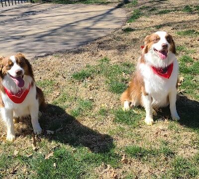 Stewart Dog Park - Wellington, KS
