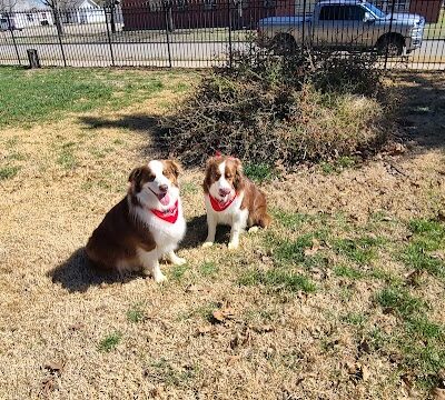 Stewart Dog Park - Wellington, KS