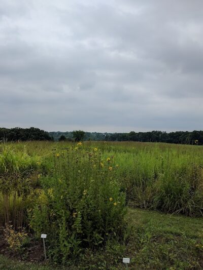 Quail Ridge Park - Wentzville, MO