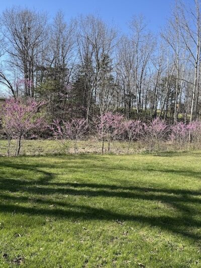 The Park At New Melle Lakes - Wentzville, MO