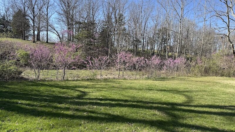 The Park At New Melle Lakes - Wentzville, MO