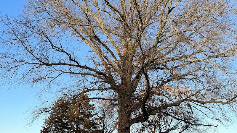 The Park At New Melle Lakes - Wentzville, MO