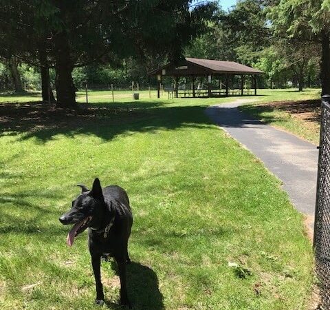 Sandy Paws Dog Park - West Bend, WI
