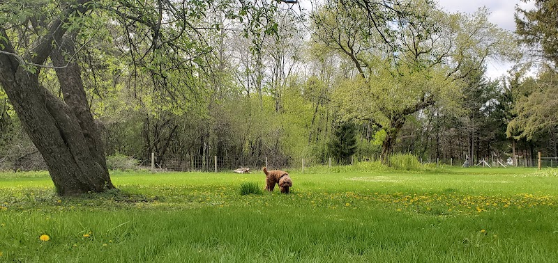 Sandy Paws Dog Park - West Bend, WI
