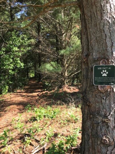 Sandy Paws Dog Park - West Bend, WI