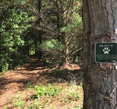 Sandy Paws Dog Park - West Bend, WI