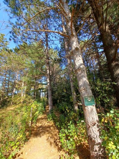 Sandy Paws Dog Park - West Bend, WI