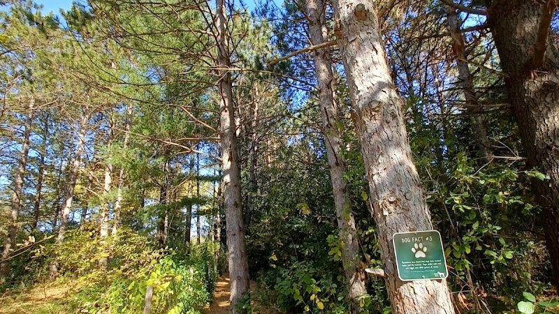 Sandy Paws Dog Park - West Bend, WI