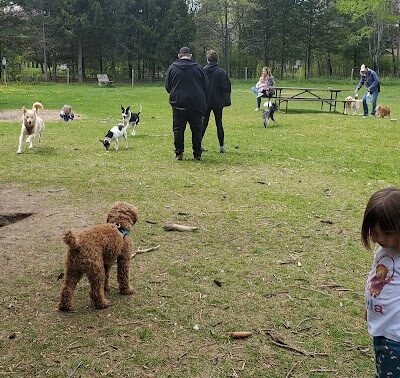 Sandy Paws Dog Park - West Bend, WI