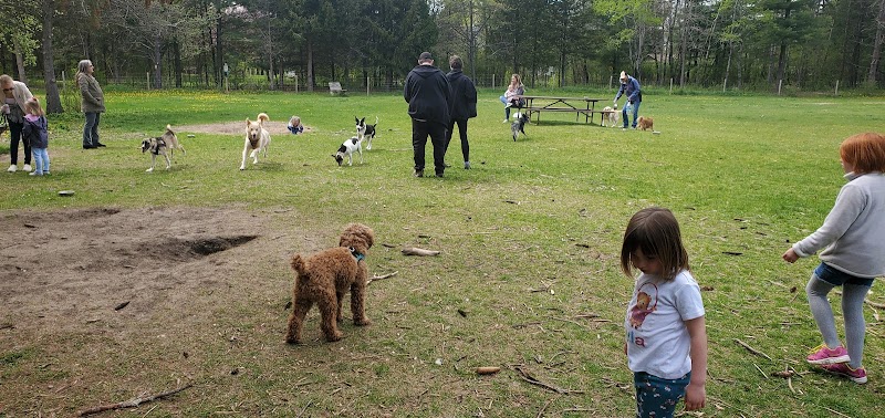 Sandy Paws Dog Park - West Bend, WI