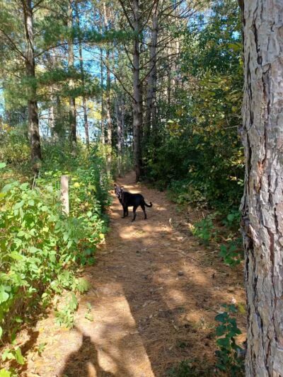 Sandy Paws Dog Park - West Bend, WI