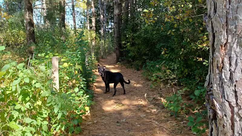 Sandy Paws Dog Park - West Bend, WI