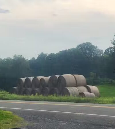 Long View Park Parking area - West Coxsackie, NY