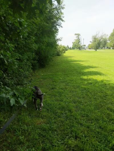 West Deptford Twp Green Acres - West Deptford, NJ