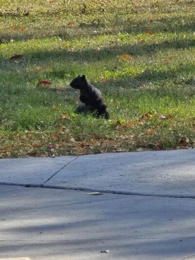 American Legion Park - West Des Moines, IA