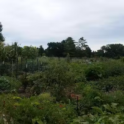 Ashawa Park - West Des Moines, IA