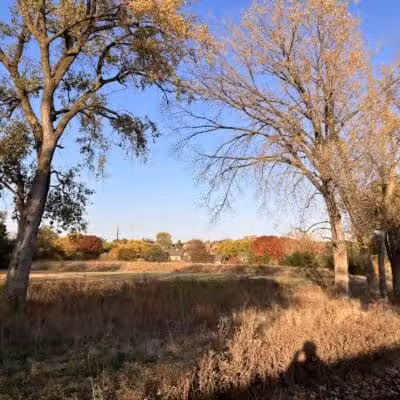 Crossroads Park - West Des Moines, IA