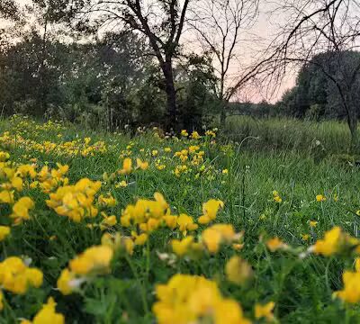 Crossroads Park - West Des Moines, IA