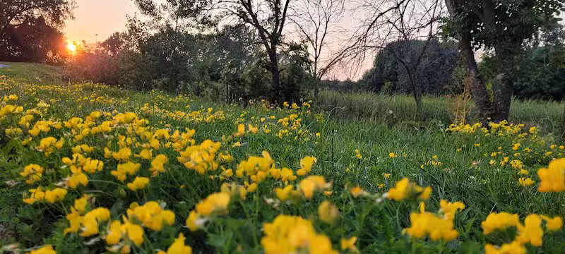 Crossroads Park - West Des Moines, IA