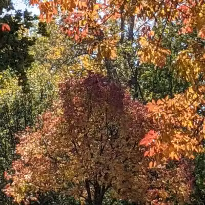 Fairmeadows - West Des Moines, IA