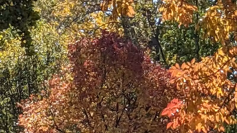 Fairmeadows - West Des Moines, IA