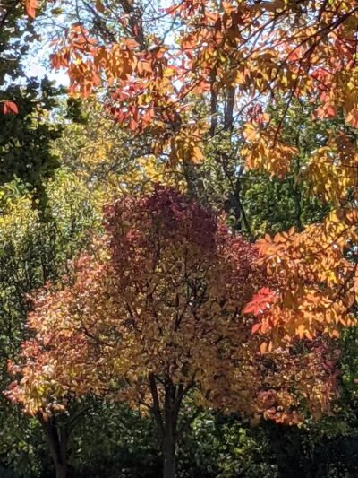 Fairmeadows - West Des Moines, IA