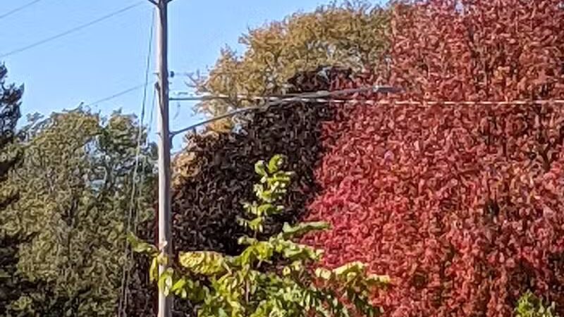 Fairmeadows - West Des Moines, IA