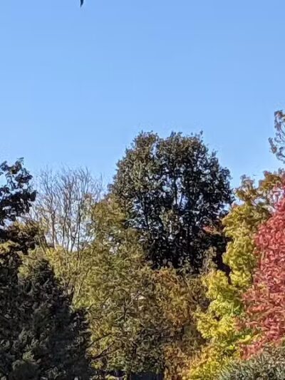 Fairmeadows - West Des Moines, IA