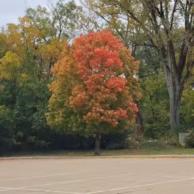 Holiday Park - West Des Moines, IA