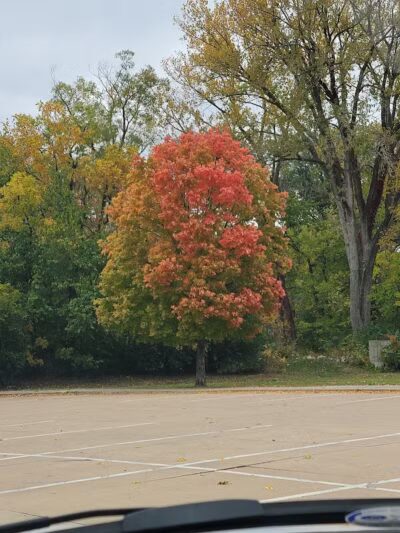 Holiday Park - West Des Moines, IA