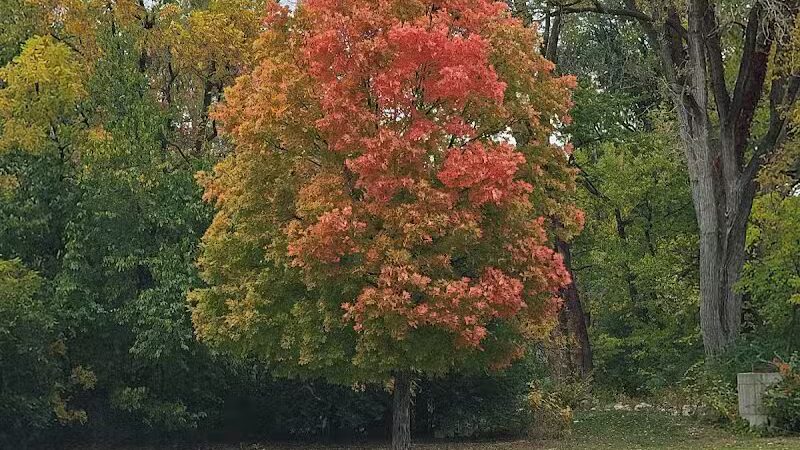 Holiday Park - West Des Moines, IA