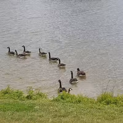 Huston Ridge Park - West Des Moines, IA