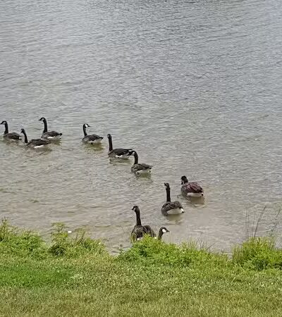 Huston Ridge Park - West Des Moines, IA