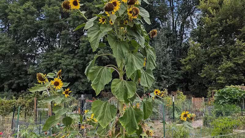 Jordan Creek Park - West Des Moines, IA