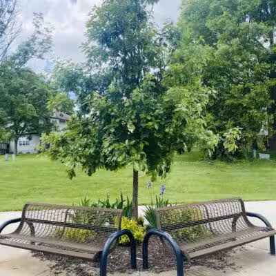 Knolls Park - West Des Moines, IA